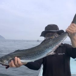 正将丸 釣果