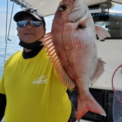 遊漁船 ニライカナイ 釣果