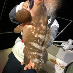 Magic(マジック) 釣果