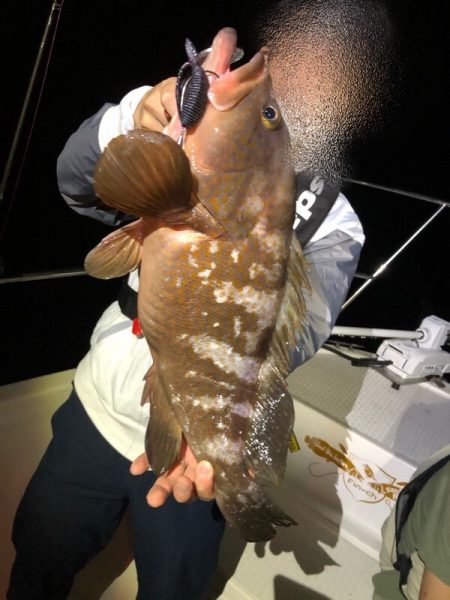 Magic(マジック) 釣果