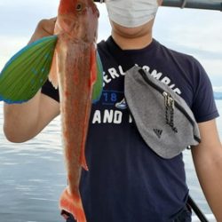 遊漁船 ニライカナイ 釣果