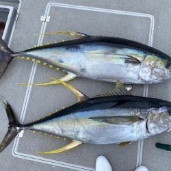 へいみつ丸 釣果