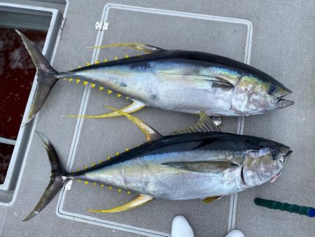 へいみつ丸 釣果