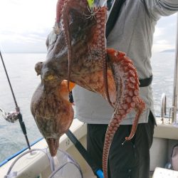 たかみ丸 釣果
