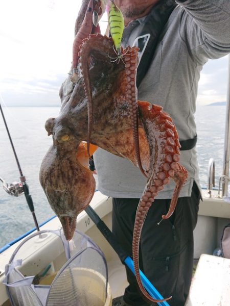 たかみ丸 釣果