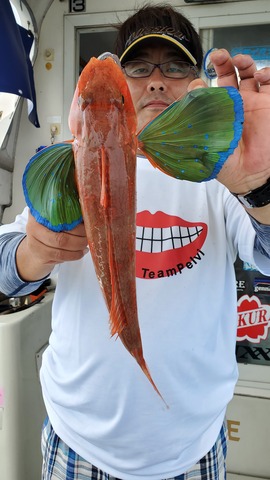 遊漁船　ニライカナイ 釣果