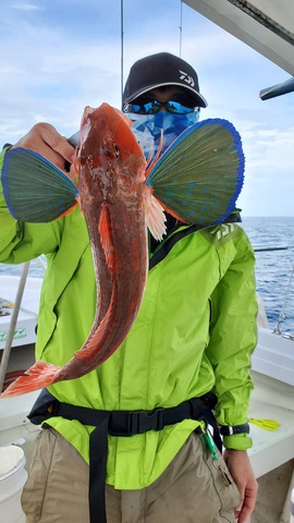 遊漁船 ニライカナイ 釣果