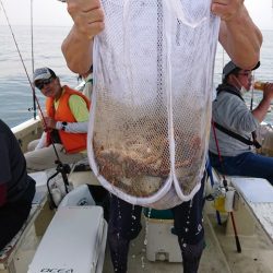 たかみ丸 釣果