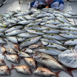 ミタチ丸 釣果