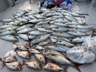 ミタチ丸 釣果