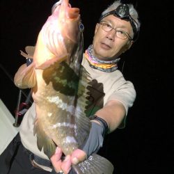 Magic(マジック) 釣果