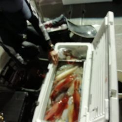 第二大福丸 釣果