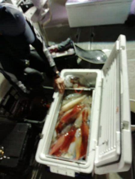 第二大福丸 釣果