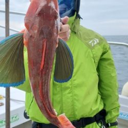 遊漁船 ニライカナイ 釣果