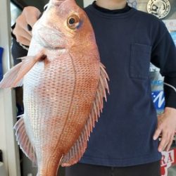 遊漁船　ニライカナイ 釣果
