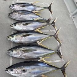 へいみつ丸 釣果