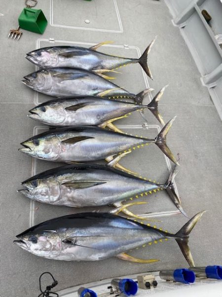 へいみつ丸 釣果