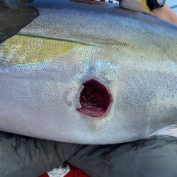 へいみつ丸 釣果