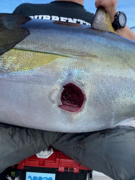 へいみつ丸 釣果