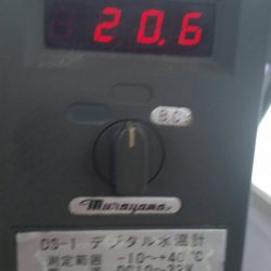 第五慶門丸 釣果