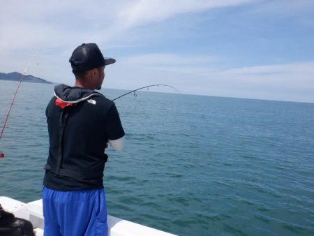 開進丸 釣果
