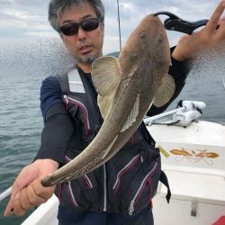 Magic（マジック） 釣果