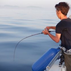 開進丸 釣果