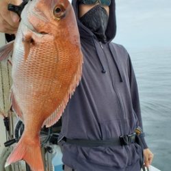 遊漁船 ニライカナイ 釣果