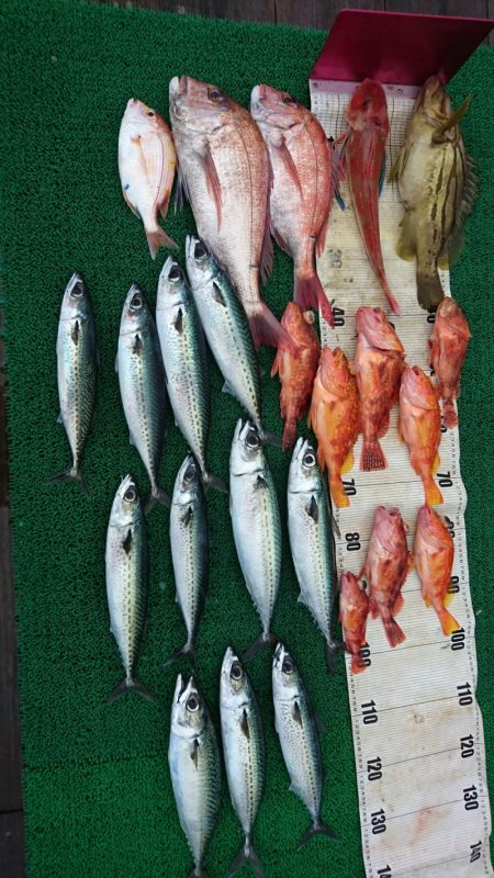 正幸丸 釣果