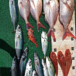 正幸丸 釣果
