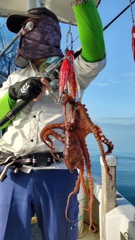 遊漁船　ニライカナイ 釣果