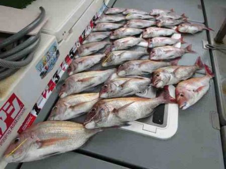 遊漁船 セトマリン 釣果