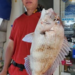 遊漁船 ニライカナイ 釣果