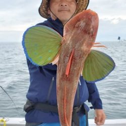 遊漁船 ニライカナイ 釣果