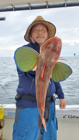 遊漁船 ニライカナイ 釣果