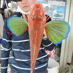 遊漁船 ニライカナイ 釣果