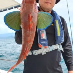 遊漁船 ニライカナイ 釣果
