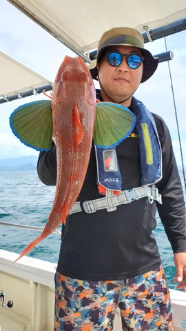 遊漁船 ニライカナイ 釣果
