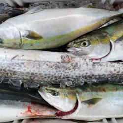 遊漁船　ニライカナイ 釣果