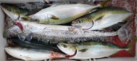 遊漁船　ニライカナイ 釣果