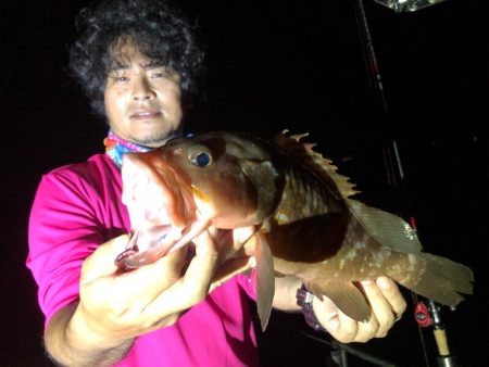 Magic(マジック) 釣果