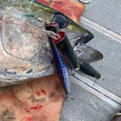 へいみつ丸 釣果