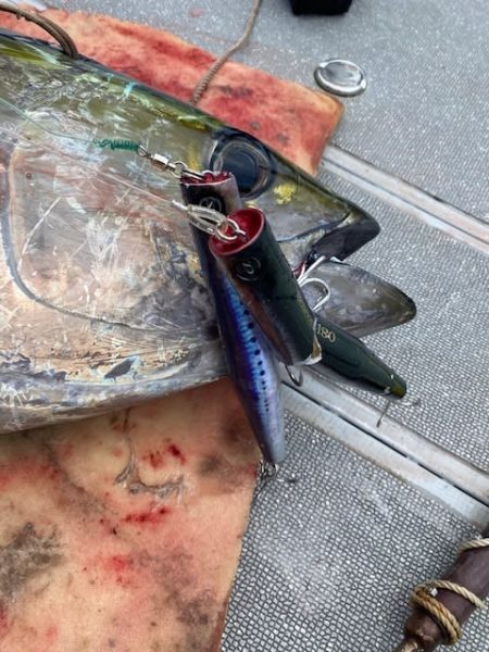 へいみつ丸 釣果