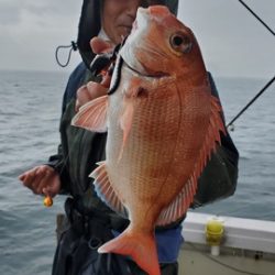 遊漁船 ニライカナイ 釣果