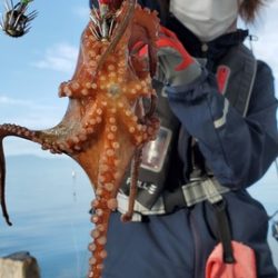 遊漁船　ニライカナイ 釣果