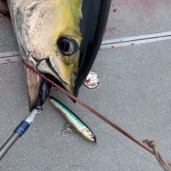 へいみつ丸 釣果