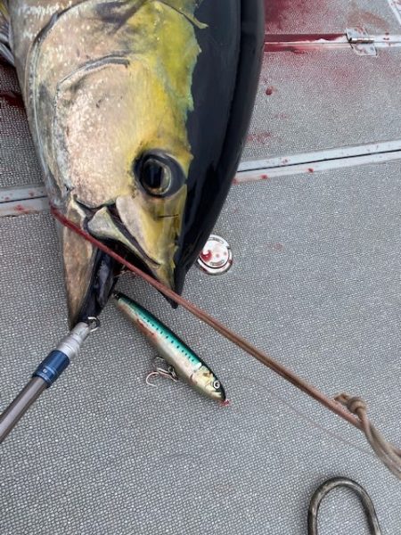 へいみつ丸 釣果