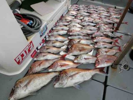 遊漁船 セトマリン 釣果