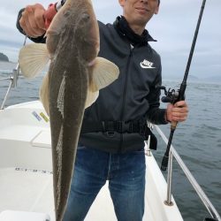 Magic(マジック) 釣果