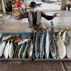 明神釣船 釣果
